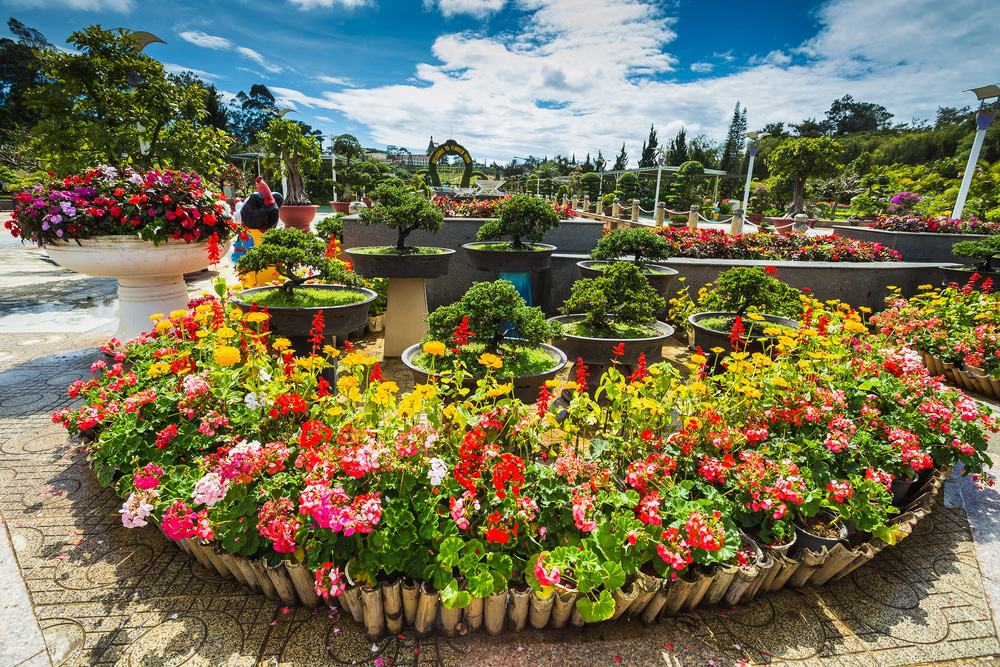 Da Lat Flower Garden